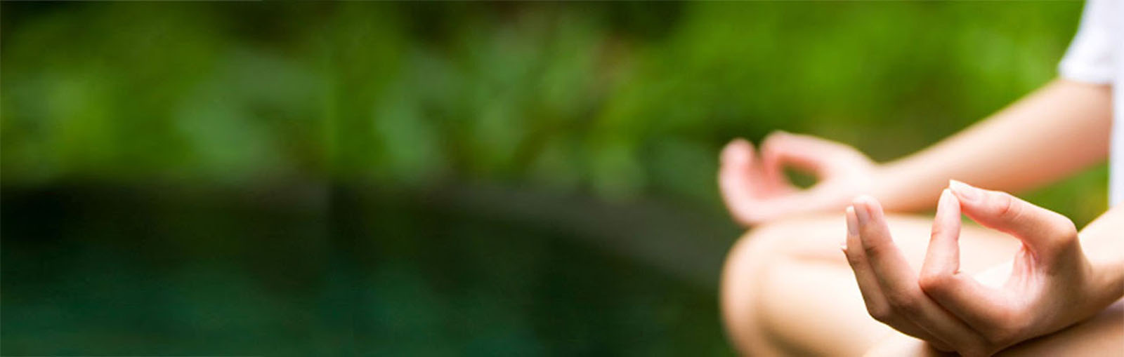 http://placehold.it/680x400&text=[banner img]