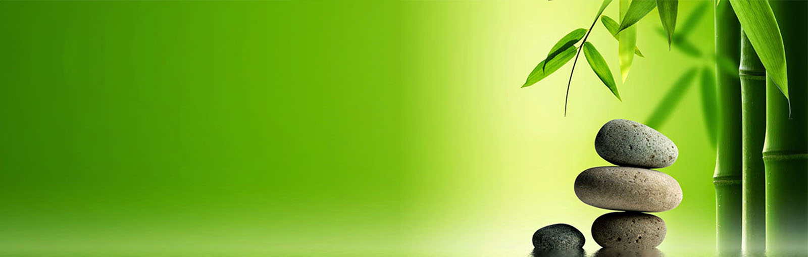 http://placehold.it/680x400&text=[banner img]